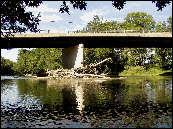 A photo of an accumulation of large woody debris against a bridge pier.
