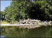A photo of streamside accumulation of large, woody debris.